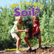 WHY DO WE NEED SOIL?