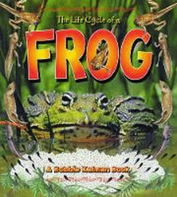 LIFE CYCLE OF A FROG, THE