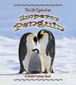 LIFE CYCLE OF AN EMPEROR PENGUIN, THE