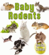 BABY RODENTS
