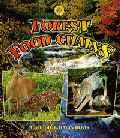 FOREST FOOD CHAINS