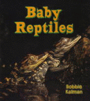 BABY REPTILES