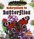 CATERPILLARS TO BUTTERFLIES