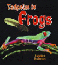 TADPOLES TO FROGS