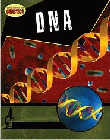 DNA