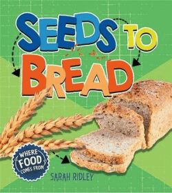 SEEDS TO BREAD