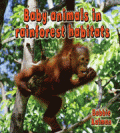 BABY ANIMALS IN RAINFOREST HABITATS