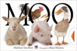 MOO!