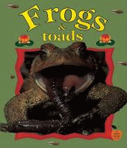 FROGS AND TOADS