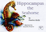 HIPPOCAMPUS THE SEAHORSE