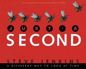 JUST A SECOND: A DIFFERENT WAY TO LOOK AT TIME