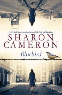 BLUEBIRD
