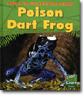 POISON DART FROG