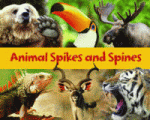 ANIMAL SPIKES AND SPINES