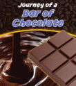 JOURNEY OF A BAR OF CHOCOLATE