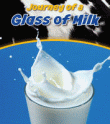 JOURNEY OF A GLASS OF MILK