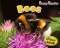 BEES