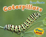 CATERPILLARS