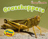 GRASSHOPPER