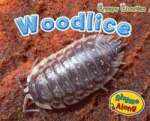 WOODLICE