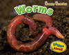 WORMS