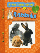RABBITS