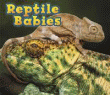 REPTILE BABIES