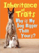 INHERITANCE OF TRAITS: WHY IS MY DOG BIGGER THAN Y