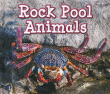 ROCK POOL ANIMALS
