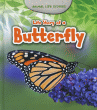 LIFE STORY OF A BUTTERFLY