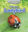 LIFE STORY OF A LADYBIRD