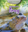 LIFE STORY OF A FROG