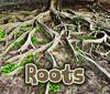 ALL ABOUT ROOTS