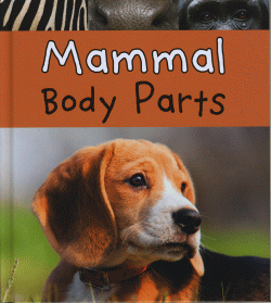 MAMMAL BODY PARTS