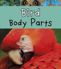 BIRD BODY PARTS