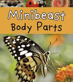 MINIBEAST BODY PARTS
