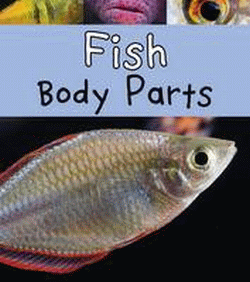 FISH BODY PARTS