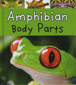 AMPHIBIAN BODY PARTS