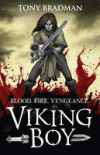 VIKING BOY