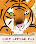 TINY LITTLE FLY