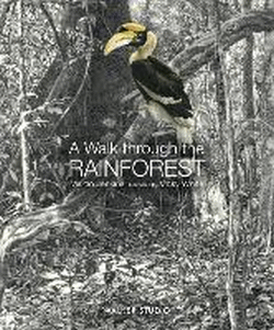 WALK THROUGH THE RAINFOREST, A