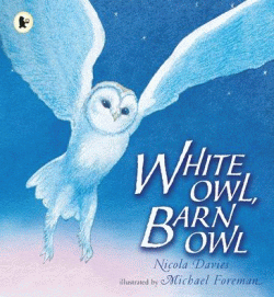 WHITE OWL, BARN OWL
