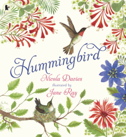 HUMMINGBIRD