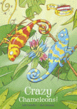 CRAZY CHAMELEONS!
