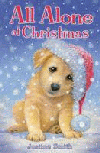 ALL ALONE AT CHRISTMAS