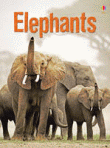 ELEPHANTS