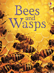 BEES AND WASPS