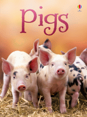 PIGS
