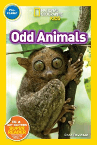 ODD ANIMALS