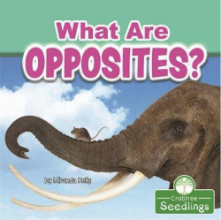 WHAT ARE OPPOSITES?